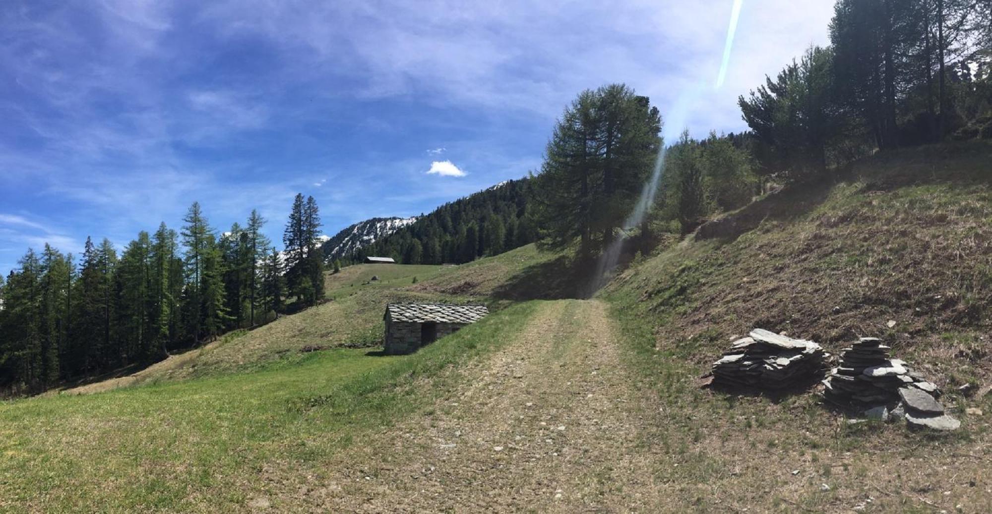 Baite Cialvrina Villa Gressoney-Saint-Jean Eksteriør billede
