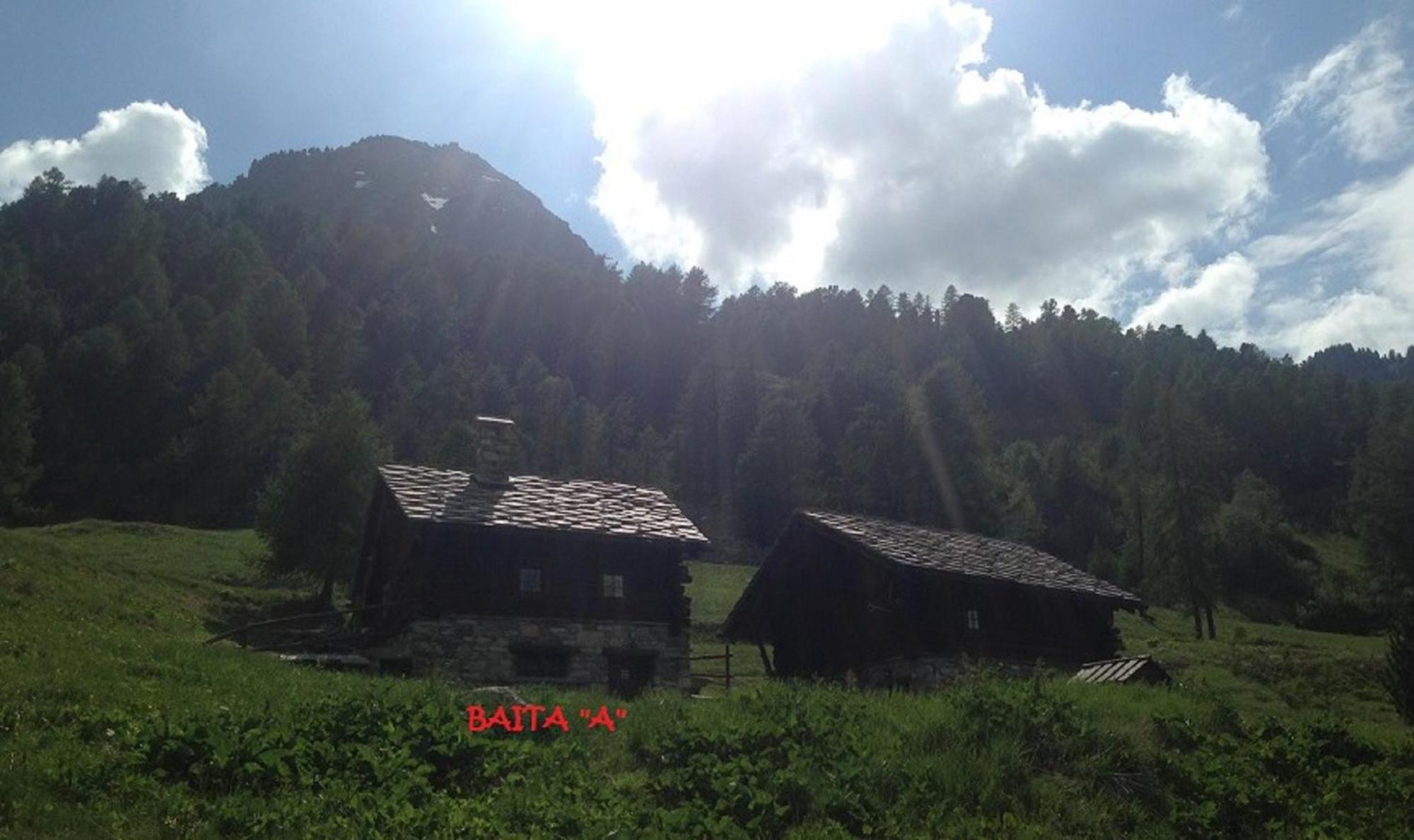 Baite Cialvrina Villa Gressoney-Saint-Jean Eksteriør billede