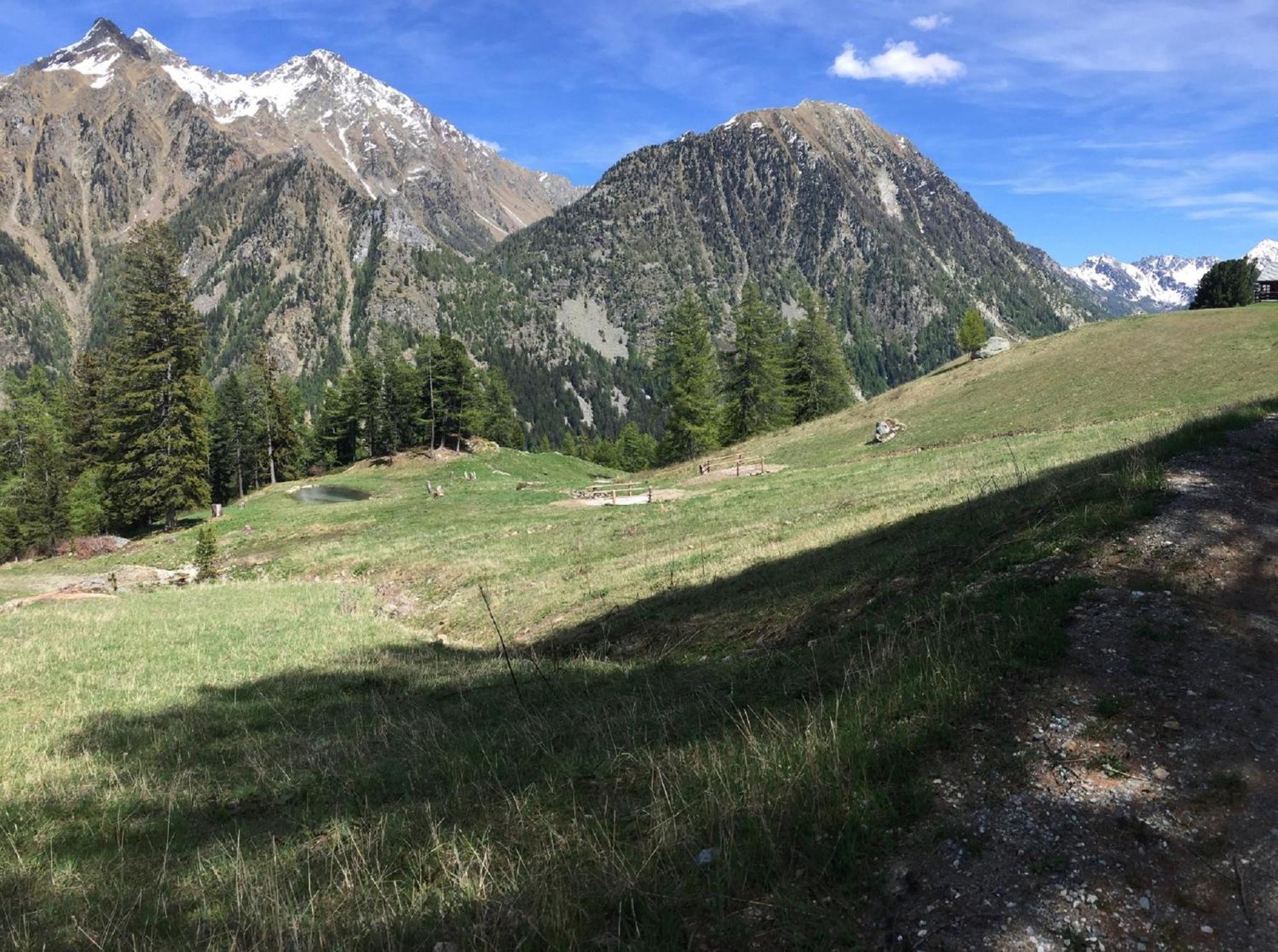 Baite Cialvrina Villa Gressoney-Saint-Jean Eksteriør billede