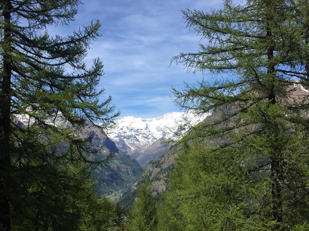 Baite Cialvrina Villa Gressoney-Saint-Jean Eksteriør billede